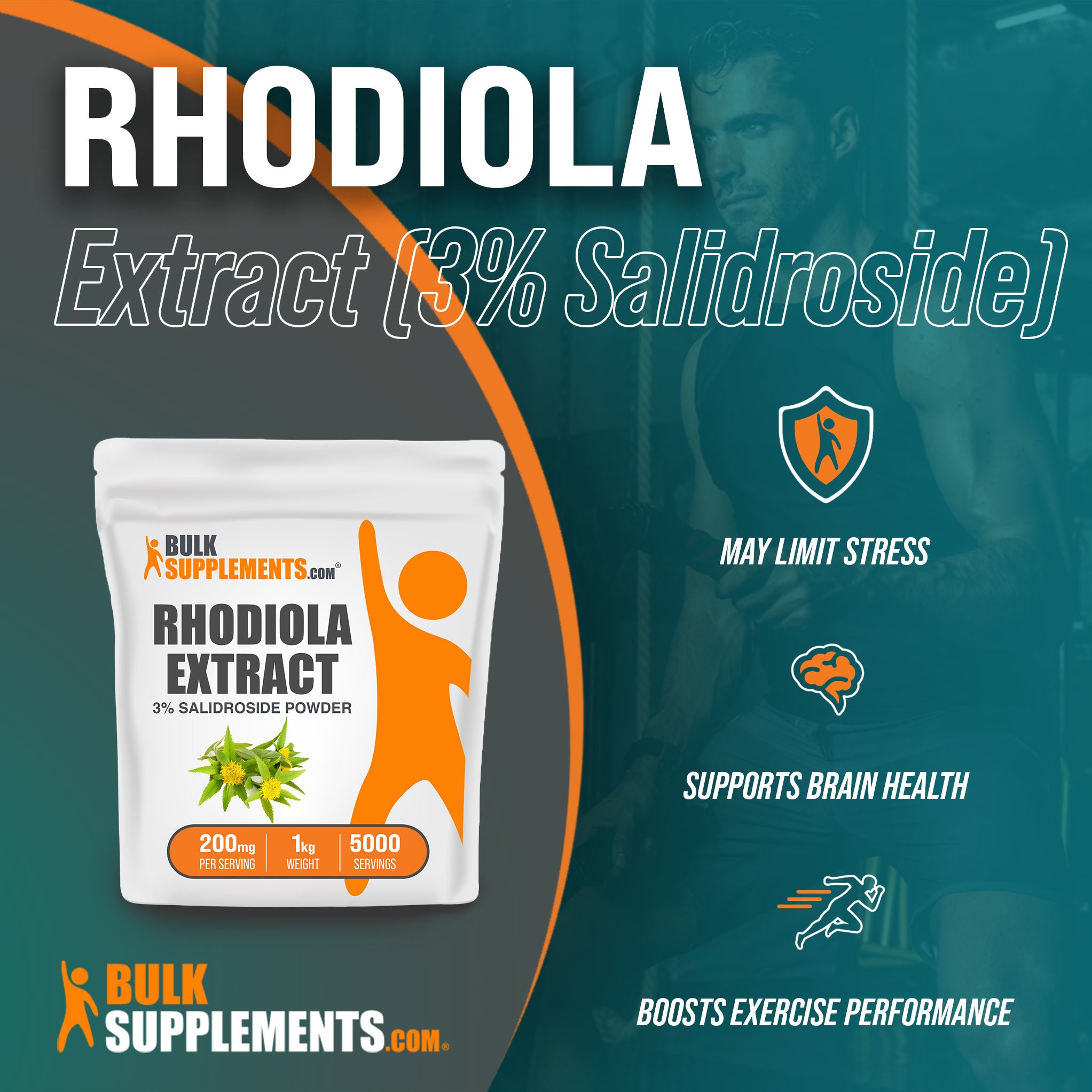 Benefits of Rhodiola Extract 3% Salidroside: may limit stress, supports brain health, boosts exercise performance