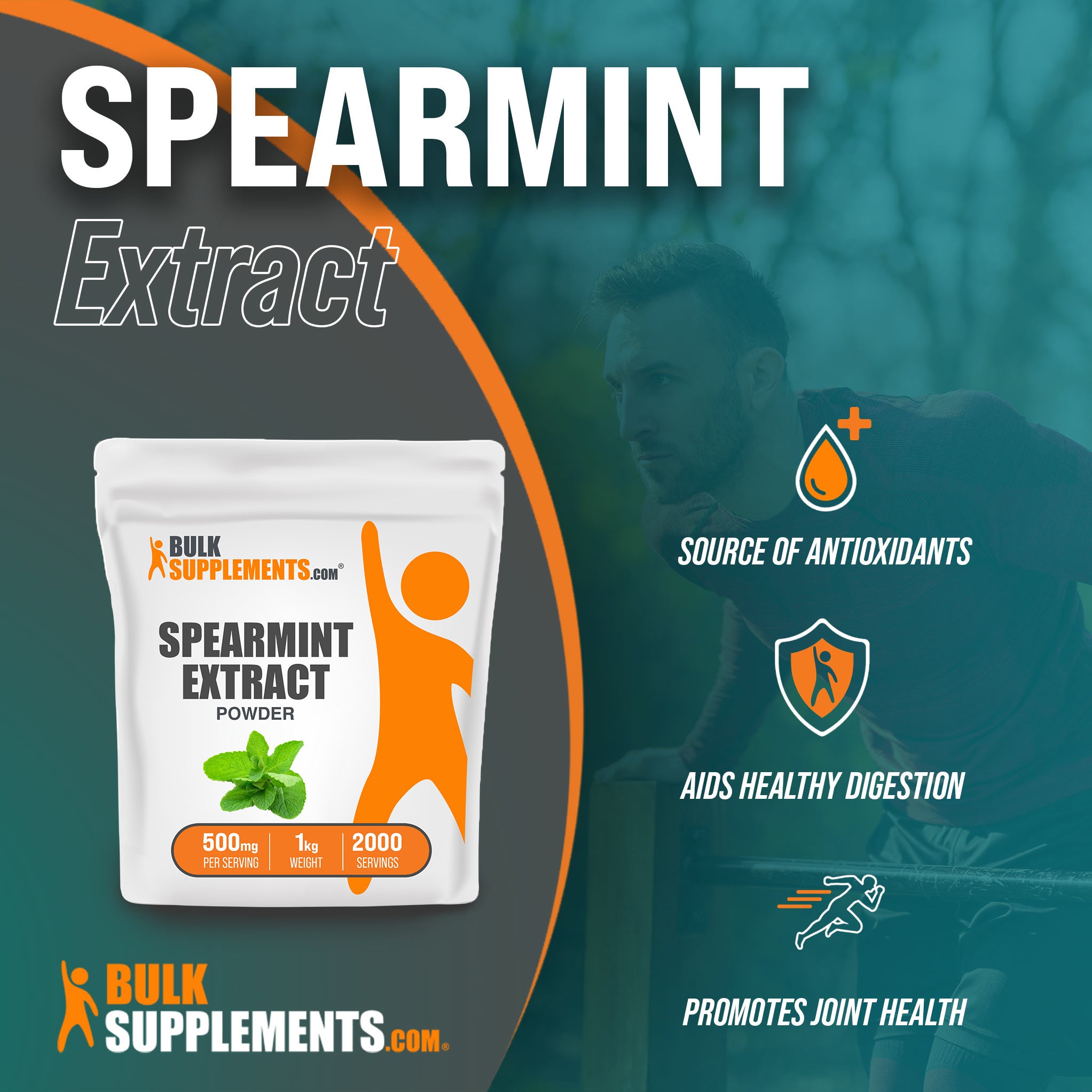 Benefits of Spearmint Extract: source of antioxidants, aids healthy digestion, promotes joint health