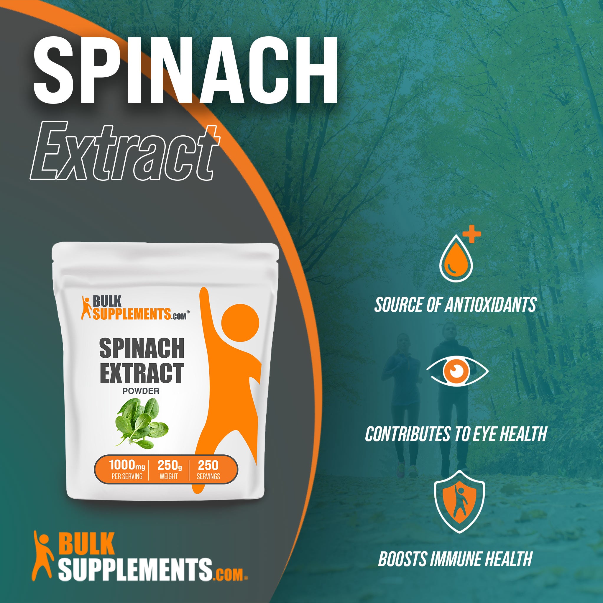 Benefits of Spinach Extract: source of antioxidants, contributes to eye health, boosts immune health