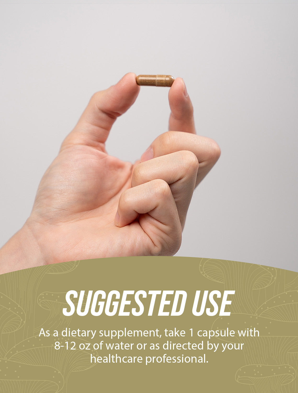 Capsules d'extrait de champignon blanc