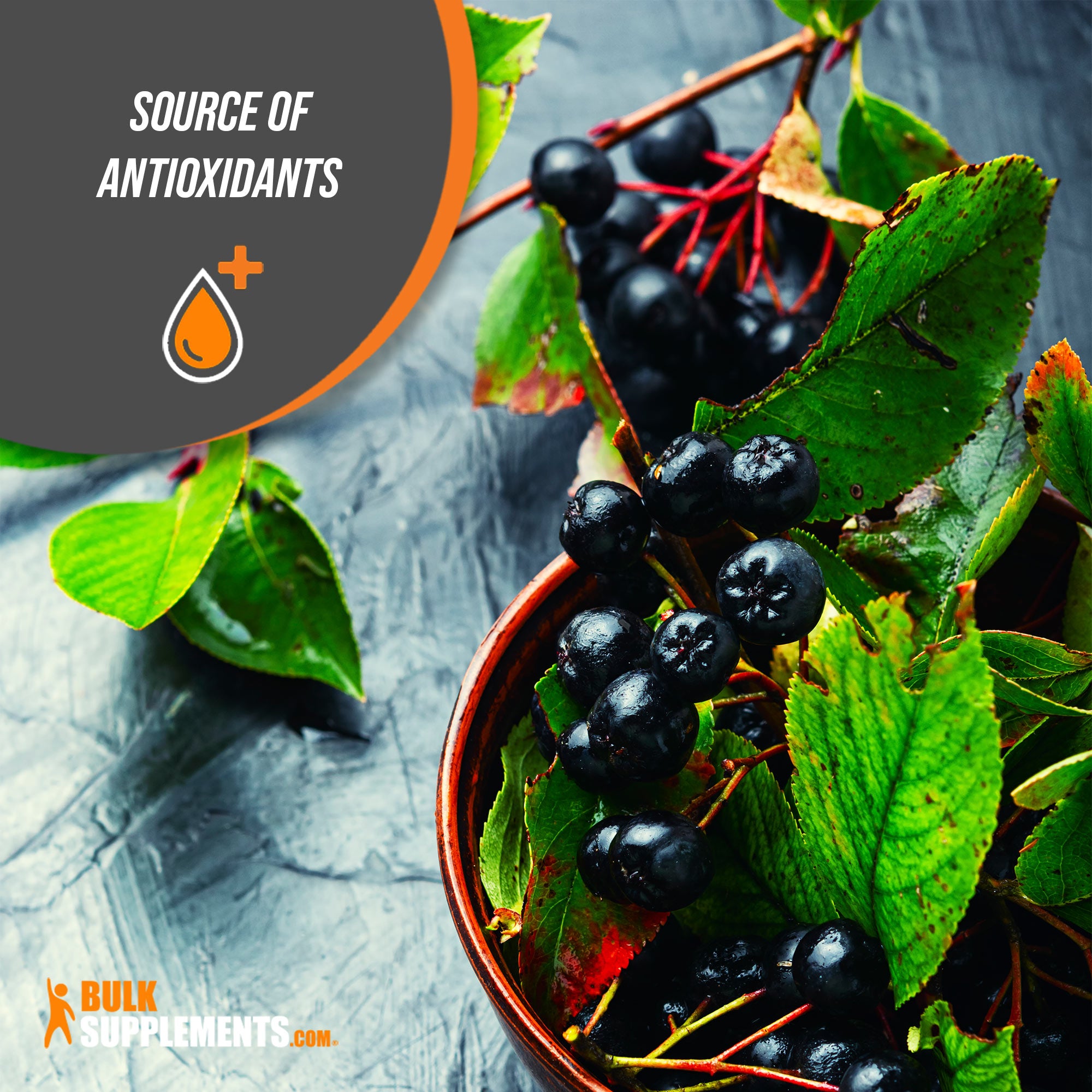 Aronia Extract Antioxidant Benefit