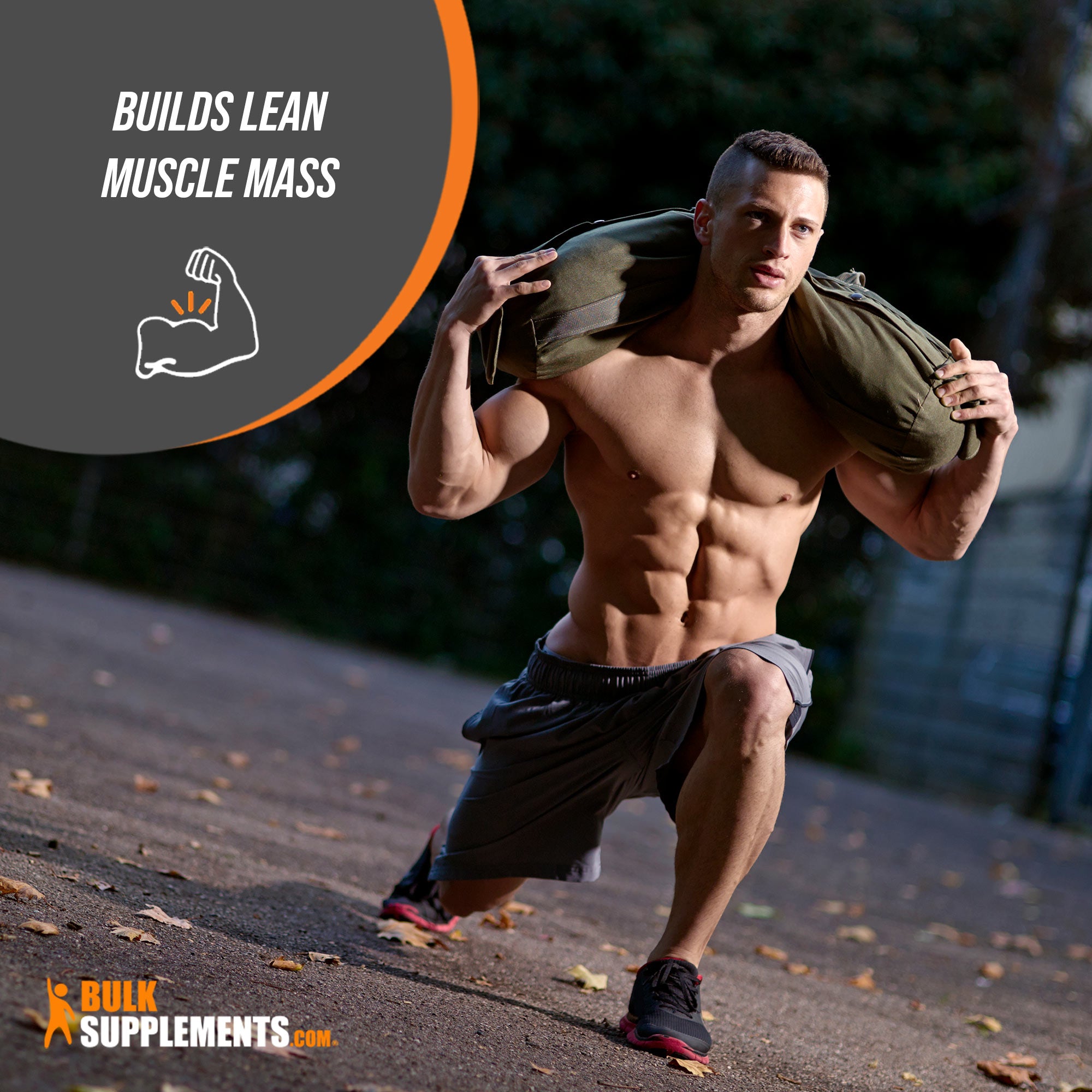 L-Leucine Powder Lean Muscle Mass Benefit