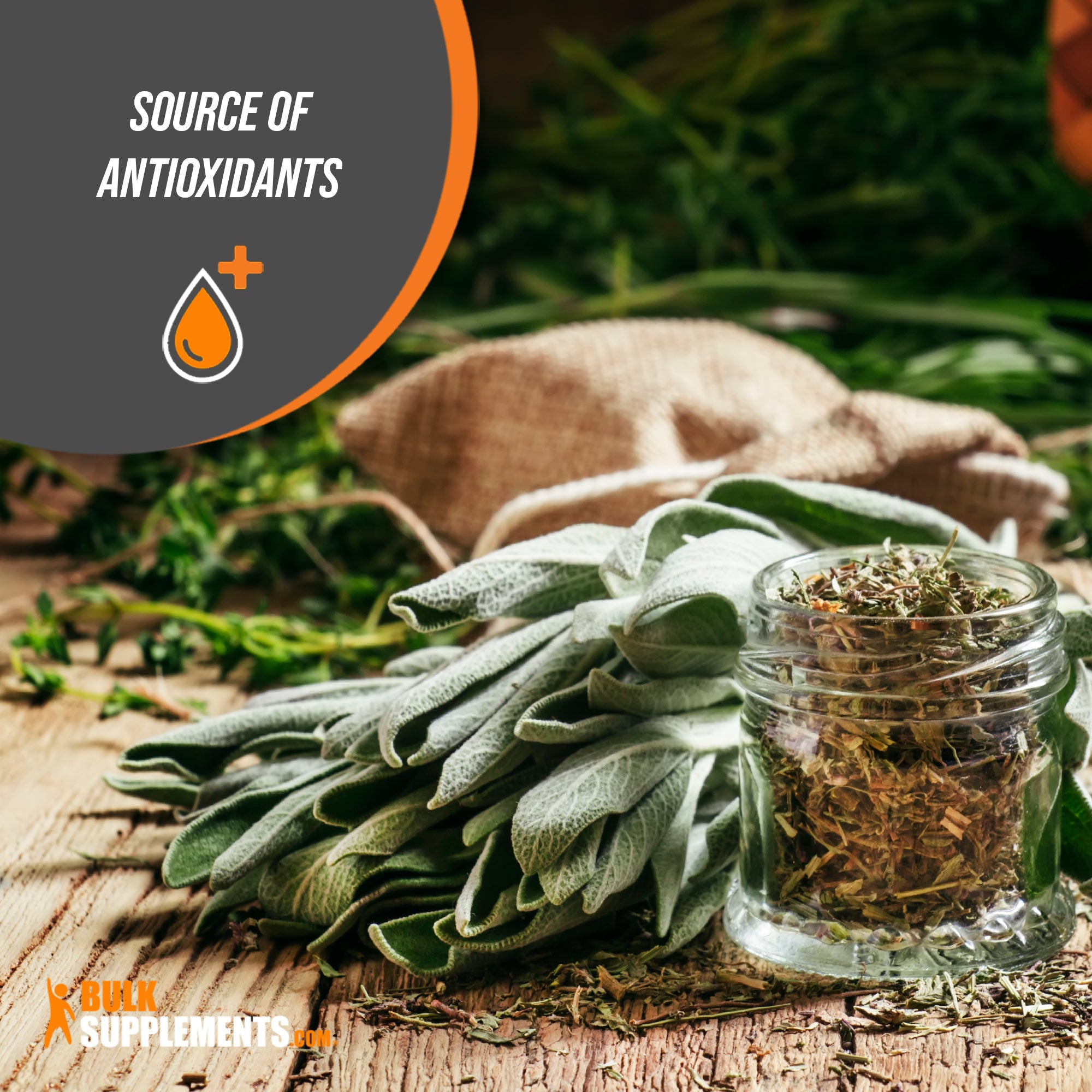 Sage Extract Powder Source of Antioxidants