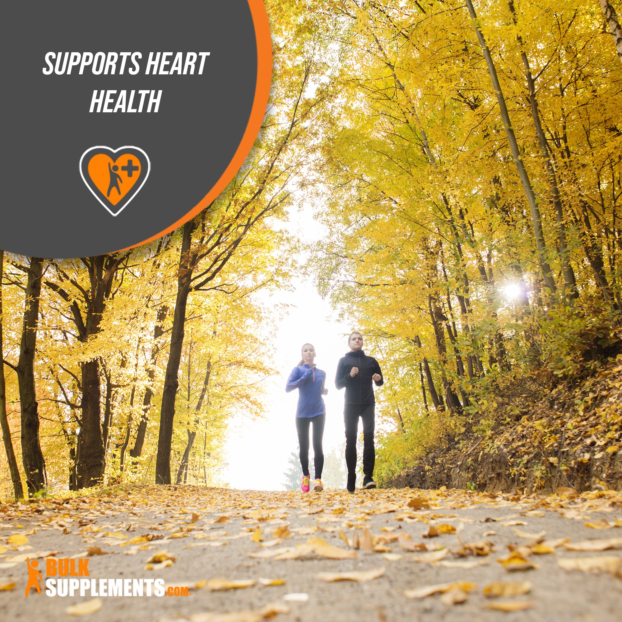 Salmon Oil Softgels Supports Heart Health